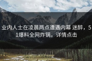 业内人士在凌晨两点遭遇内幕 迷醉，51爆料全网炸锅，详情点击
