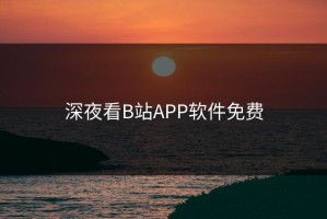 深夜看B站APP软件免费