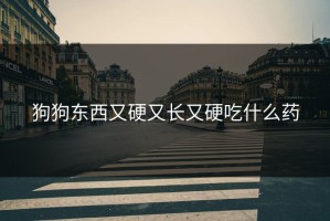 狗狗东西又硬又长又硬吃什么药