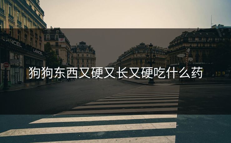 狗狗东西又硬又长又硬吃什么药
