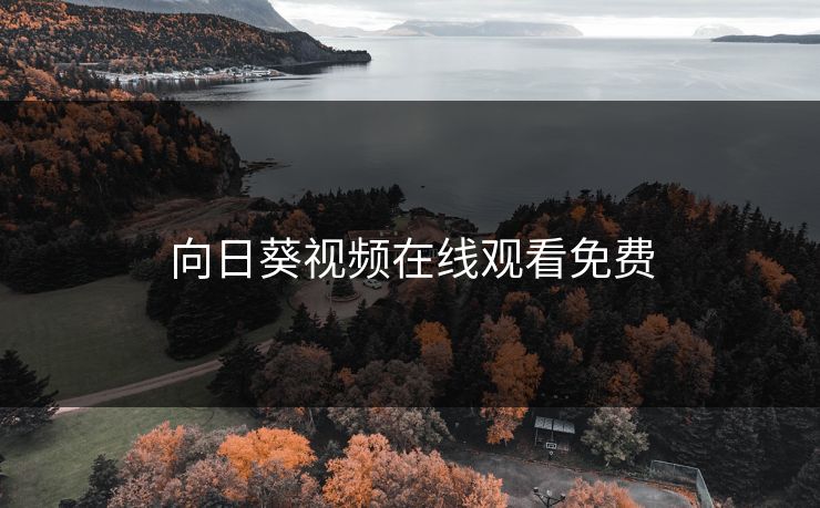 向日葵视频在线观看免费